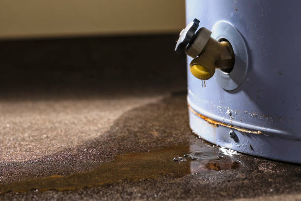 Best Water damage cleanup near me  in Citrus City, TX