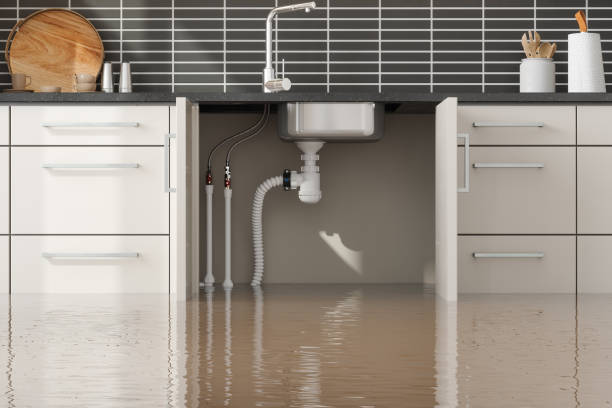 Best Sewage cleanup and water damage restoration  in Citrus City, TX