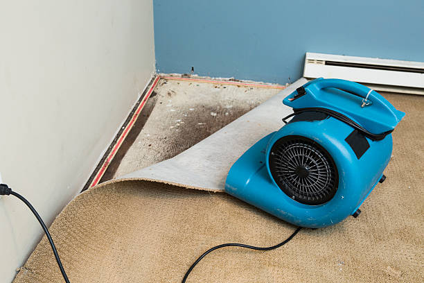 Best 24/7 water damage repair  in Citrus City, TX